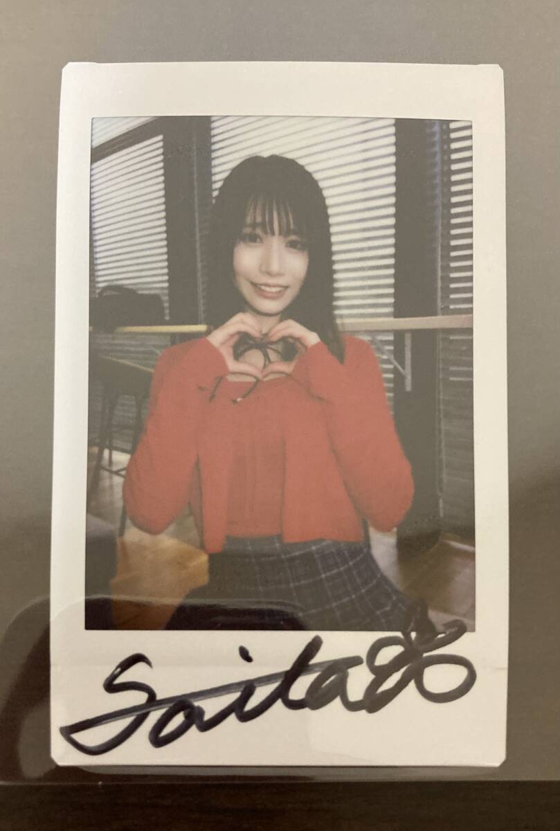 希少☆ Karen Kilimnik Paintings 大判ハードカバー 希少☆ Karen