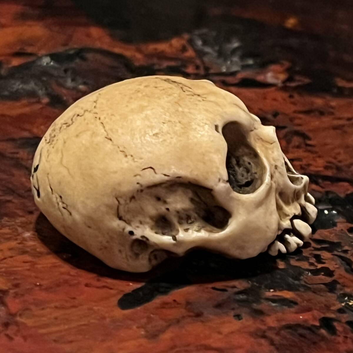 野晒し 髑髏 根付 鹿角彫り 銘有 ドクロ 和装小物 骸骨 スカル Skull