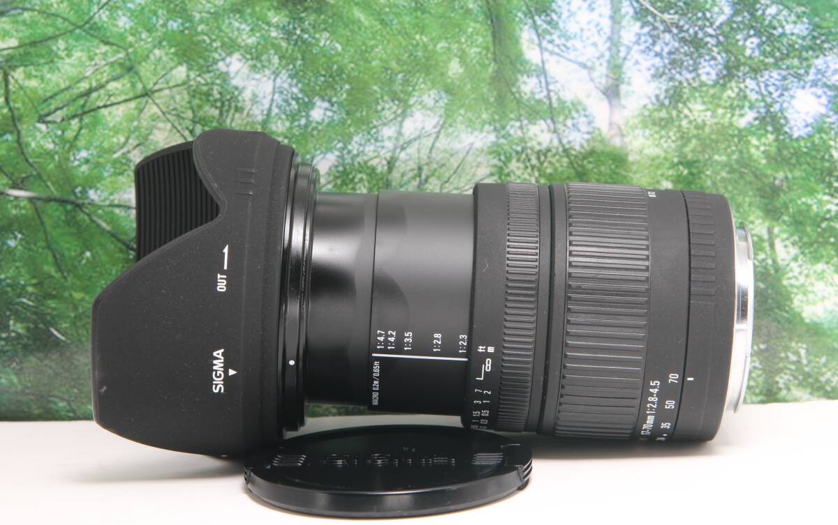 大評判神レンズ SIGMA 17-70mm f2 8-4 5 キヤノン用 レンズフィルター