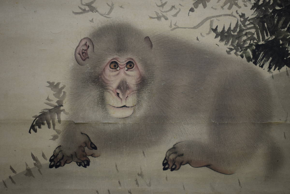 Yahoo!オークション - 【真作】//森派の祖/森祖仙/猿画賛/金襴表装/布