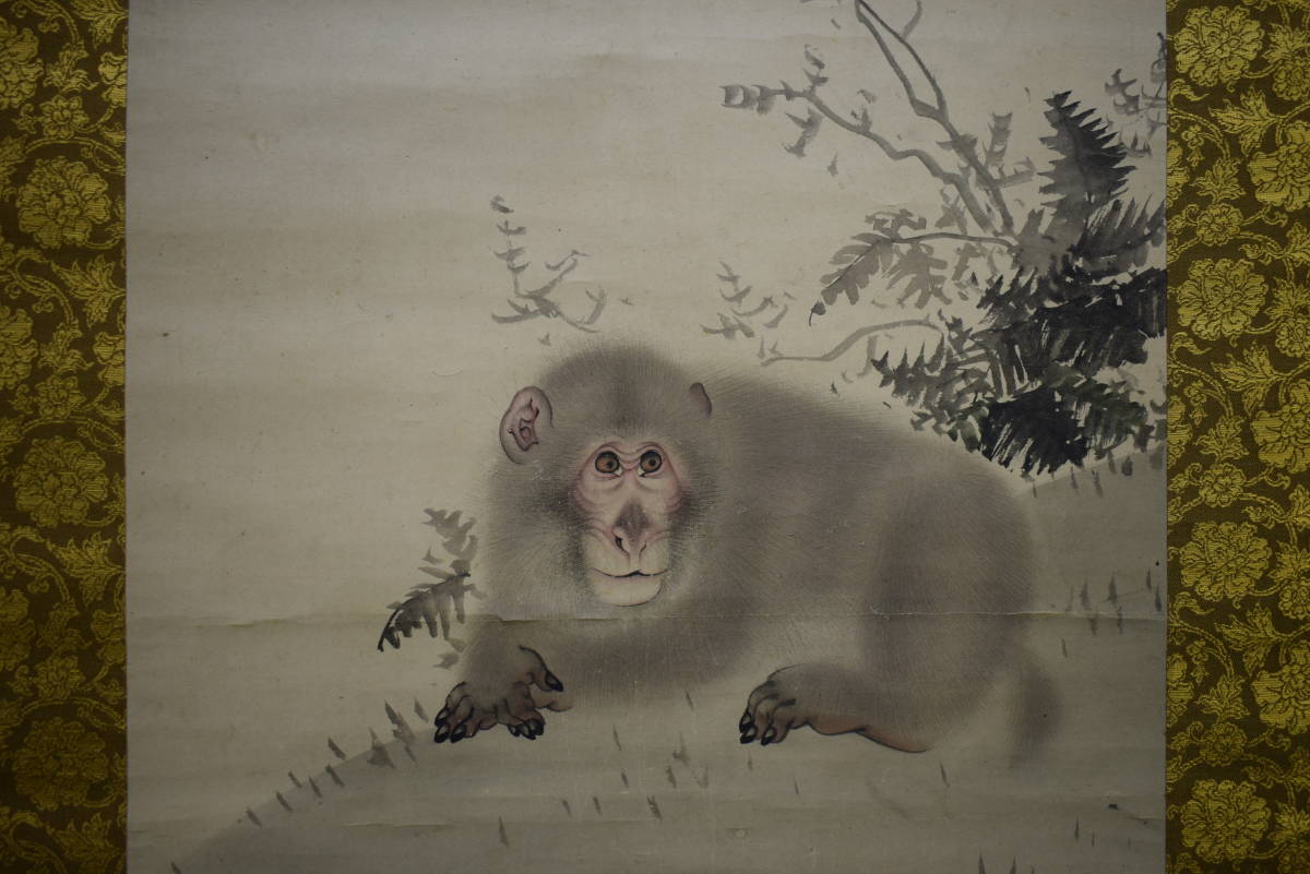 Yahoo!オークション - 【真作】//森派の祖/森祖仙/猿画賛/金襴表装/布