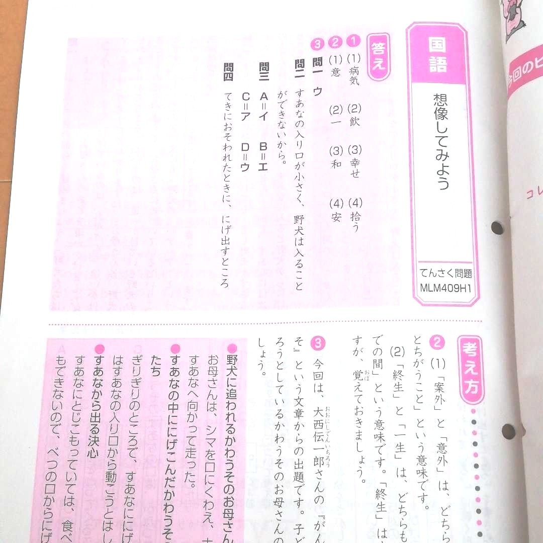 Z会 エブリィスタディ 小4コース 11月12月号 添削問題及び答えと