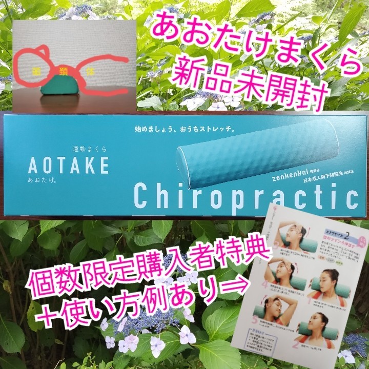 ストレッチ運動枕(あおたけ運動枕)｜Yahoo!フリマ（旧PayPayフリマ）