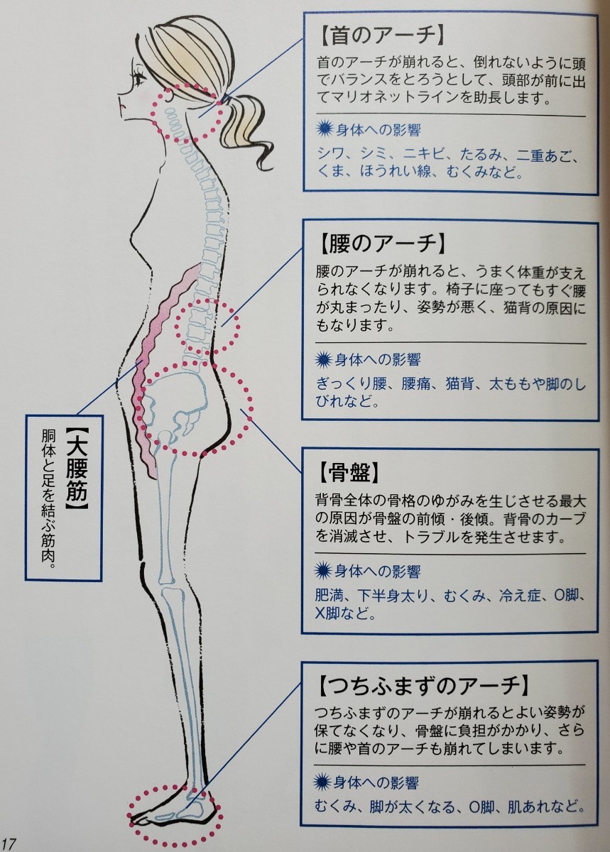 ストレッチ運動枕(あおたけ運動枕)｜Yahoo!フリマ（旧PayPayフリマ）