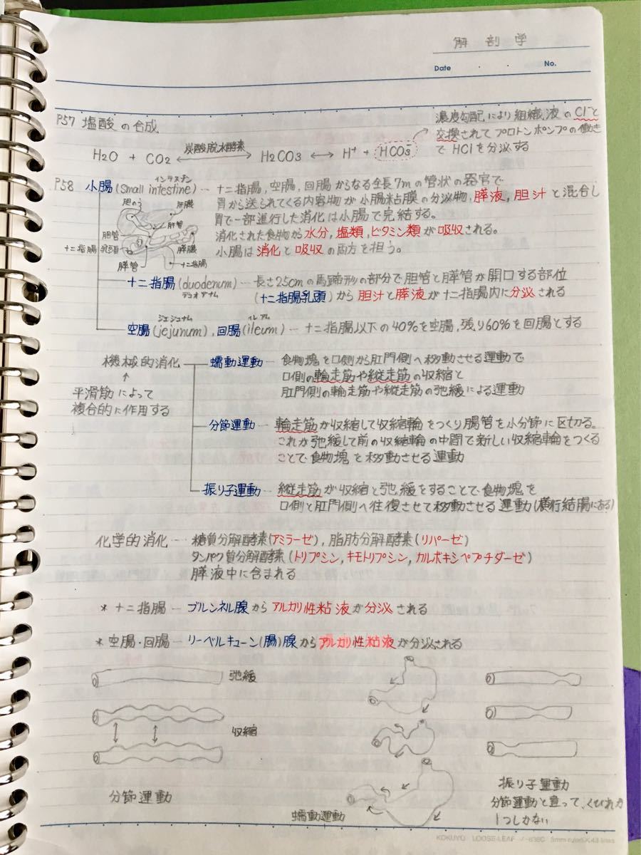 理学療法士 作業療法士国家試験 学科定期試験対策シリーズ【解剖学