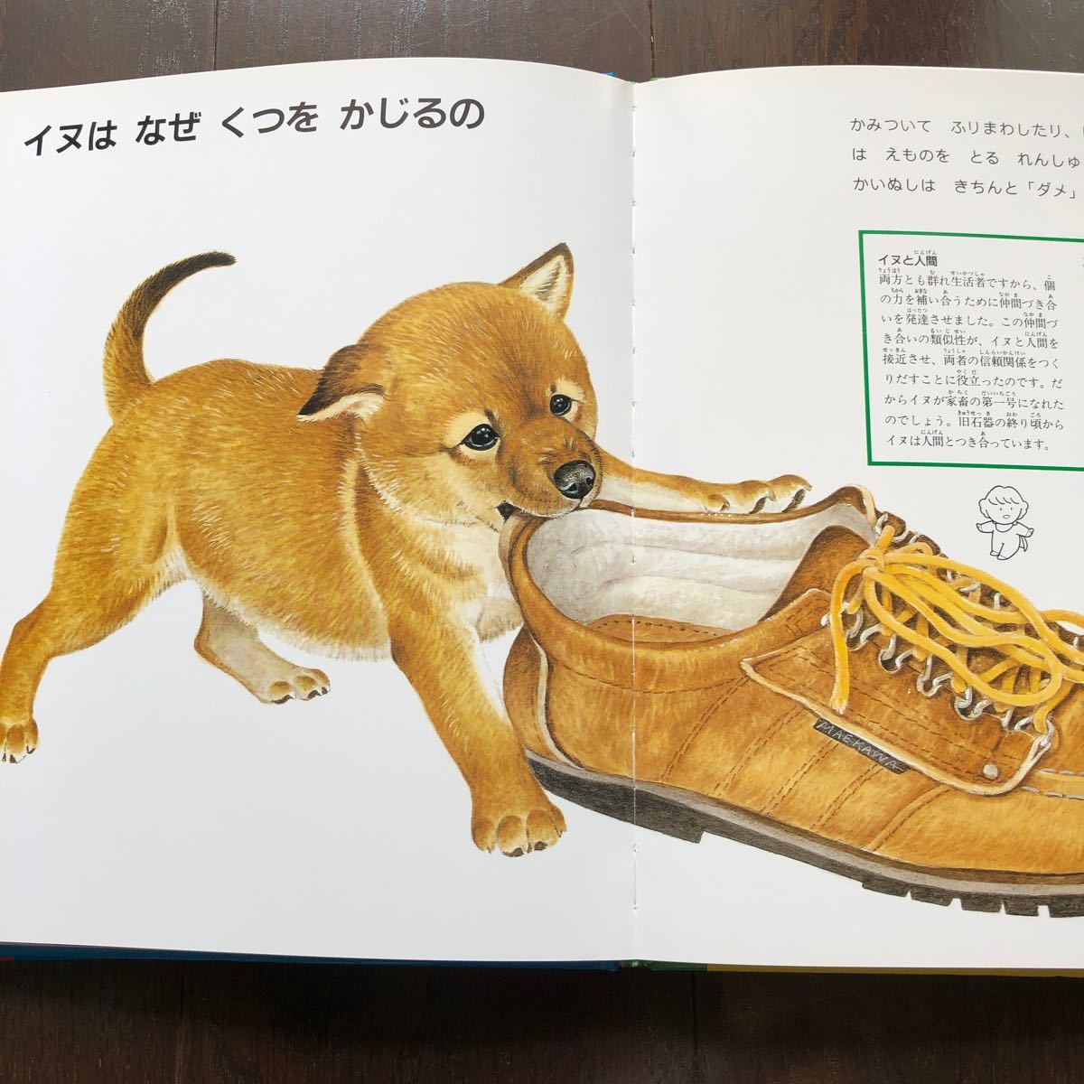 家庭保育園 図鑑 なぜなにブック 全22巻セット 美品｜Yahoo!フリマ（旧