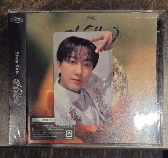 straykids オフイベ 会場限定トレカ関西 Hollow 1/24 コンプ straykids