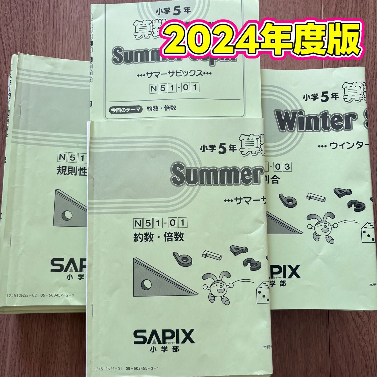 2024年度版 算数全テキスト サピックス小学5年 セット中学受験｜Yahoo