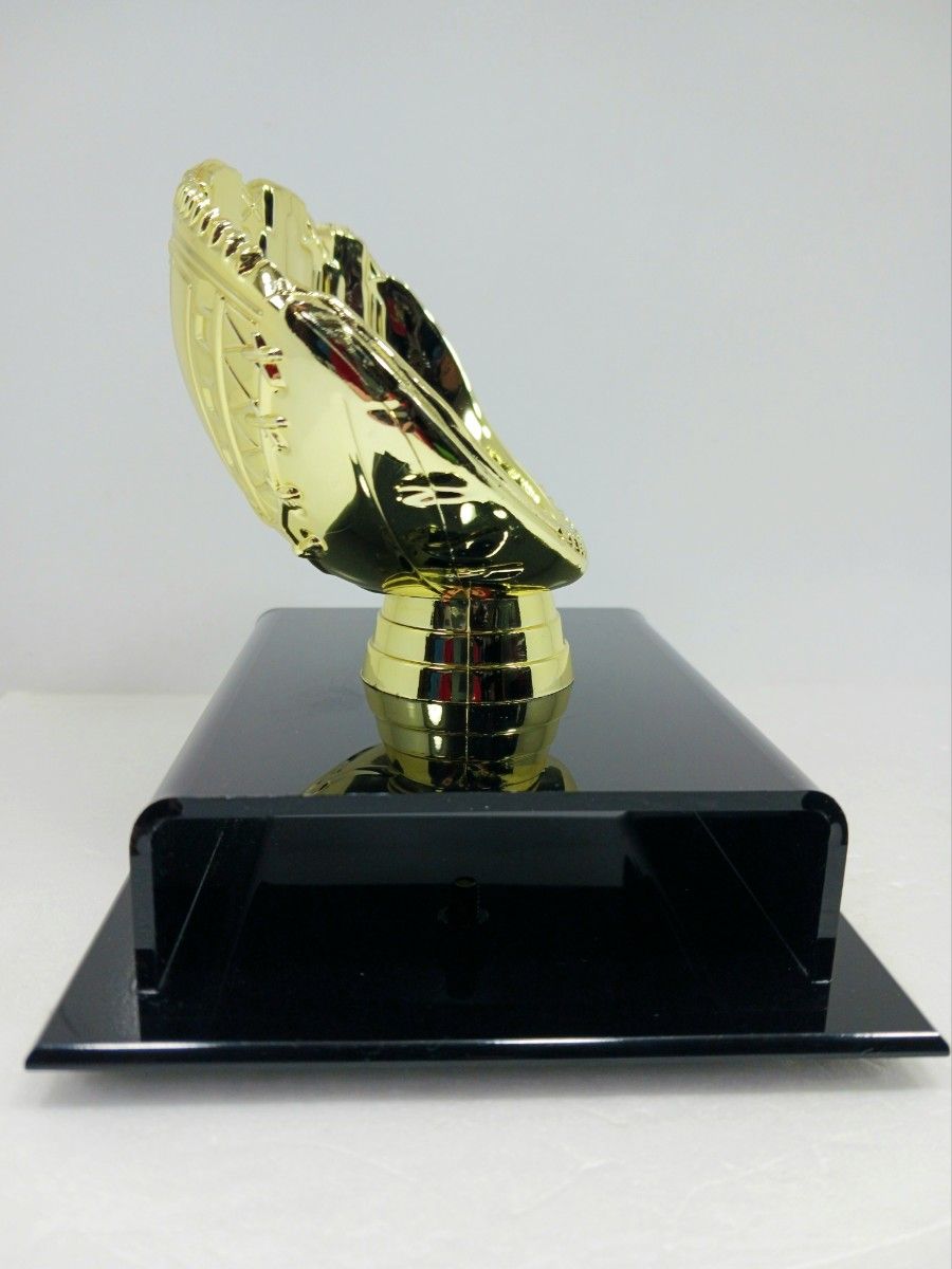 大谷翔平 エンゼルス 2021 AL MVP ボールディスプレイケース 大谷翔平