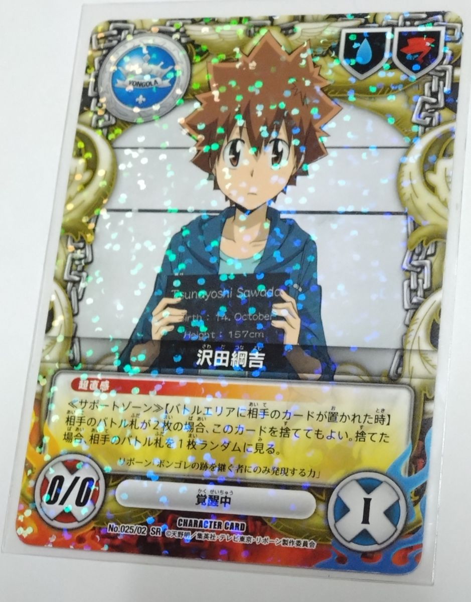 家庭教師ヒットマンREBORN CCG 1弾 2弾 沢田 綱吉 UR SR レアカード 4