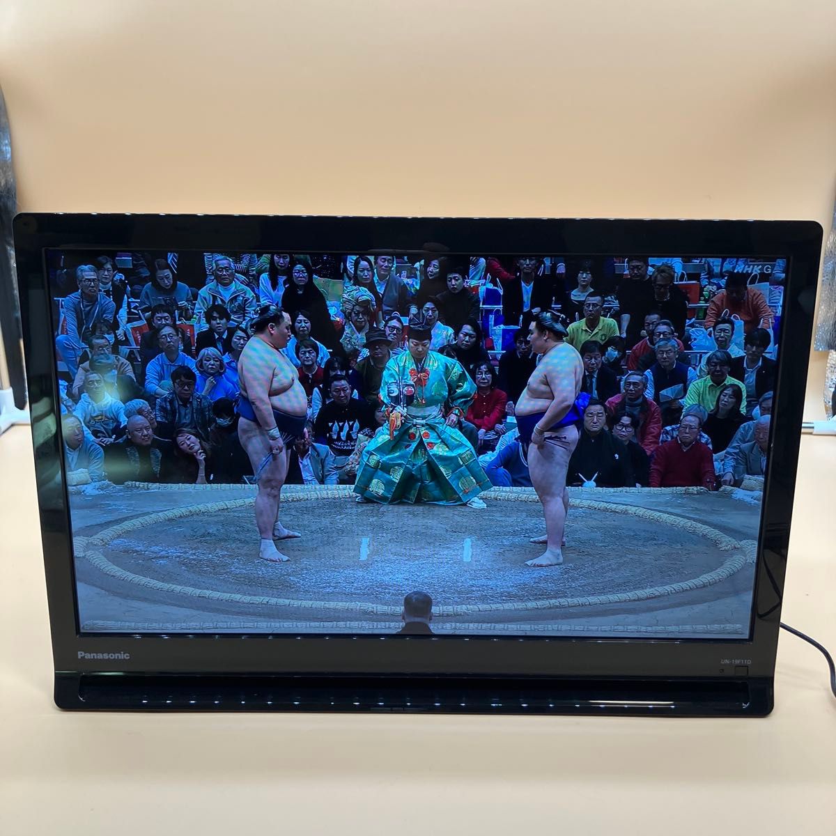 美品】【即購入OK】Panasonic プライベートビエラ UN-19F11D 2024年製