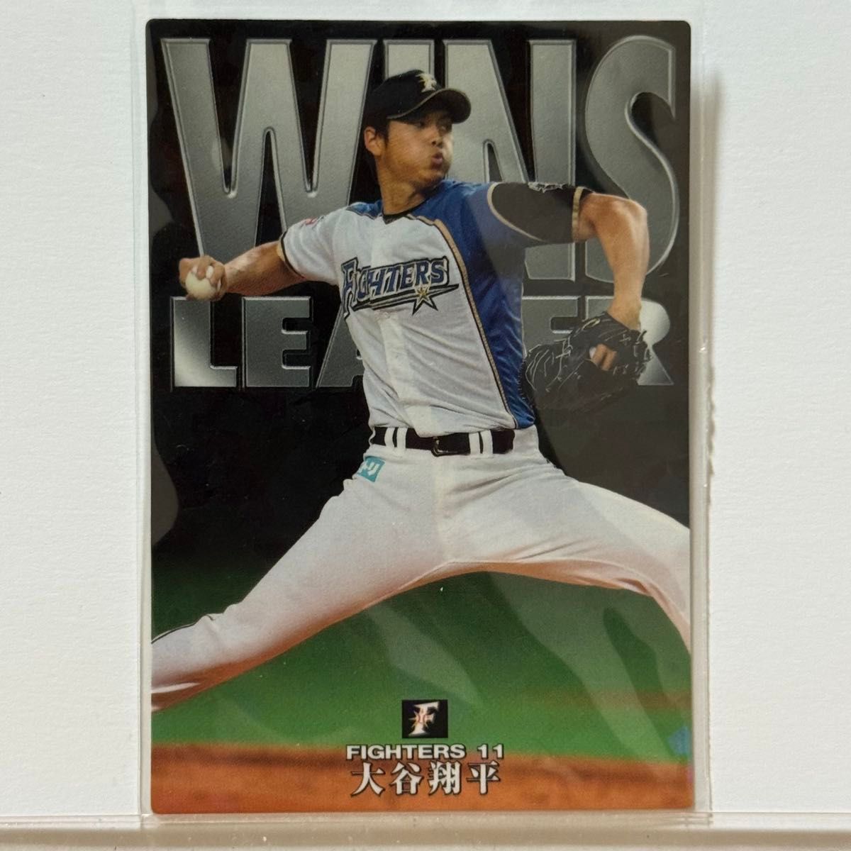 大谷翔平】通販限定 最多勝カード カルビー2016 プロ野球チップス 日本