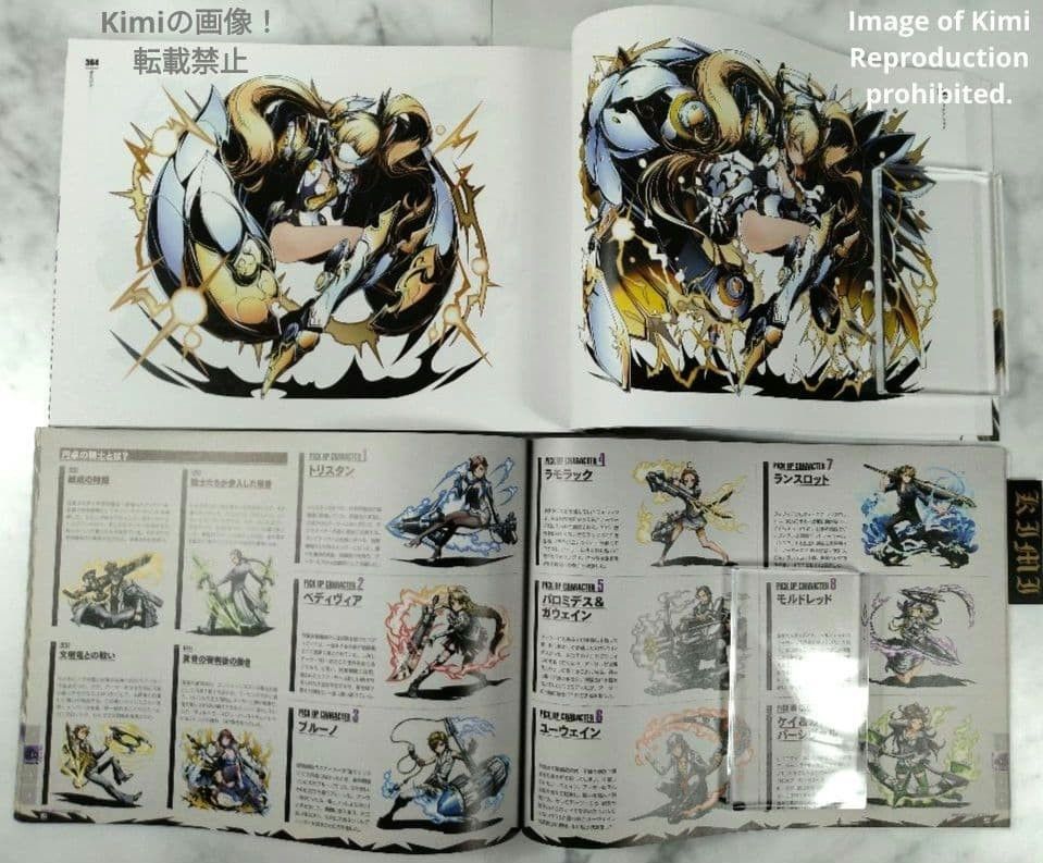 ディバインゲート OFFICIAL ART WORKS 本 2015 初版 イラスト画集