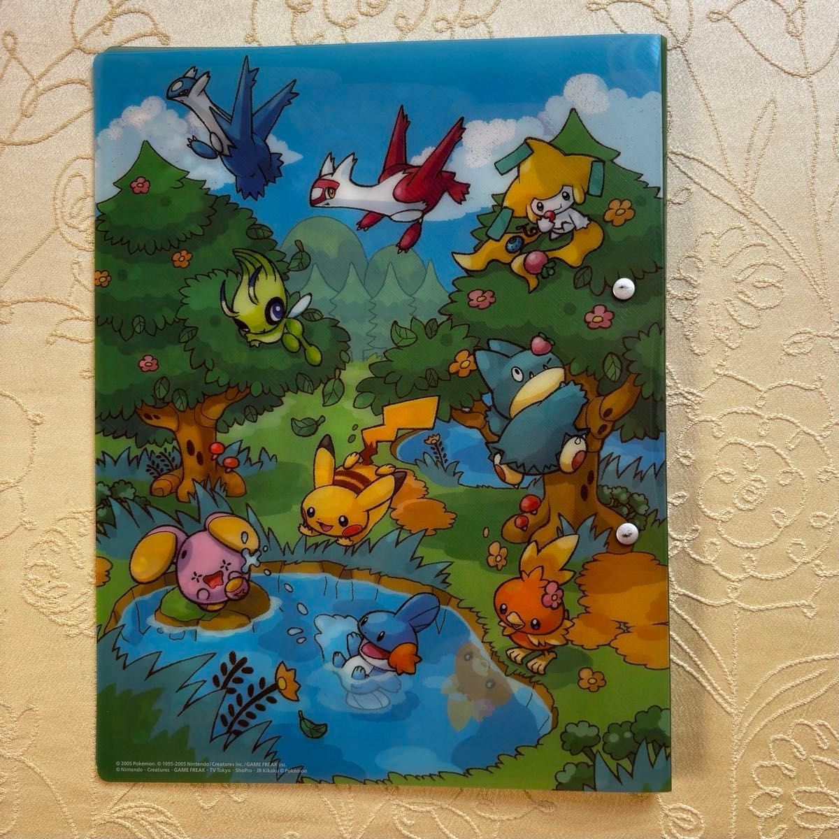 希少 2005年 ポケパーク限定 ポケモンカードゲーム プレミアムファイル