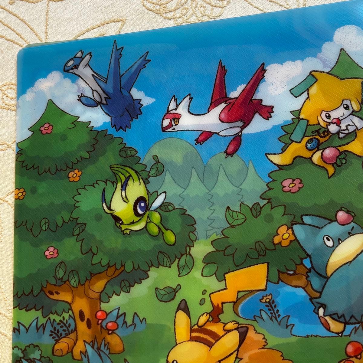 希少 2005年 ポケパーク限定 ポケモンカードゲーム プレミアムファイル