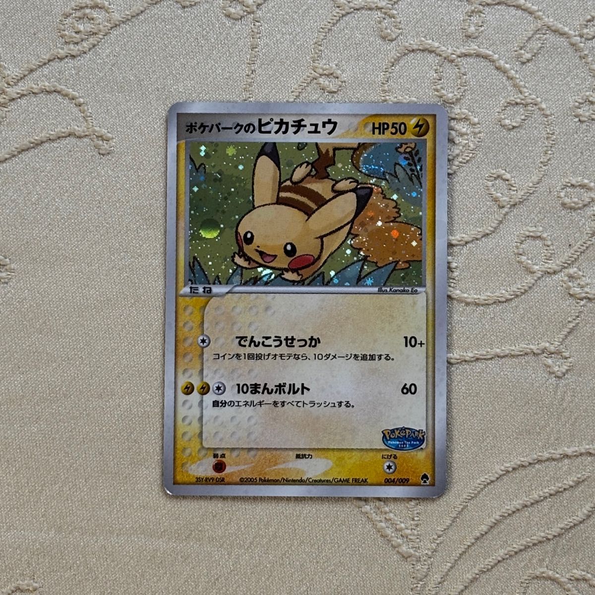 希少 2005年 ポケパーク限定 ポケモンカードゲーム プレミアムファイル