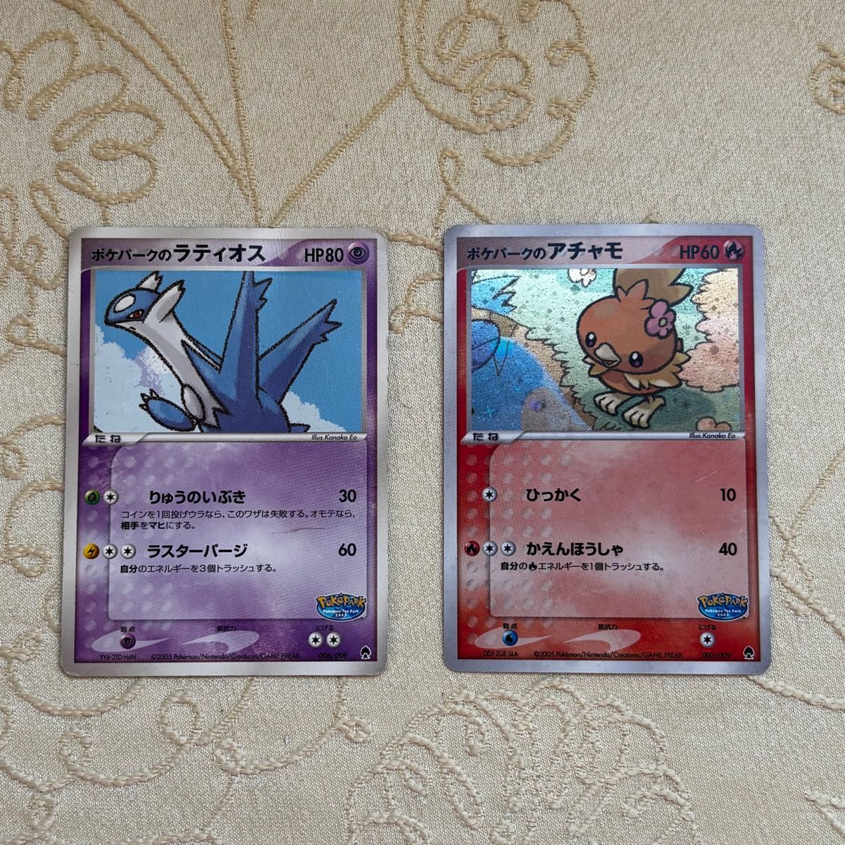 希少 2005年 ポケパーク限定 ポケモンカードゲーム プレミアムファイル