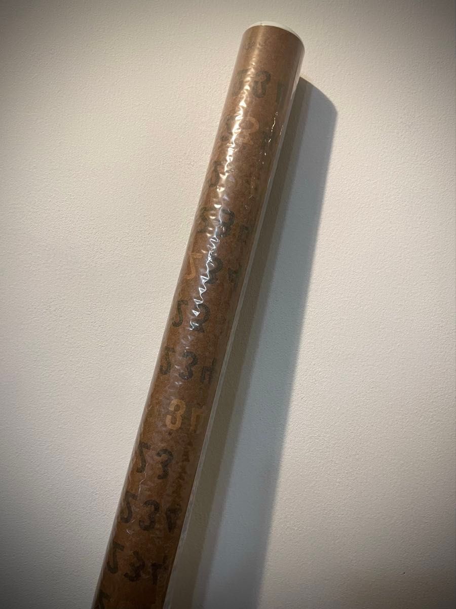 AKIO HASEGAWA + U380 CALENDAR 2026 長谷川昭雄 a h 新品 トンボ無し