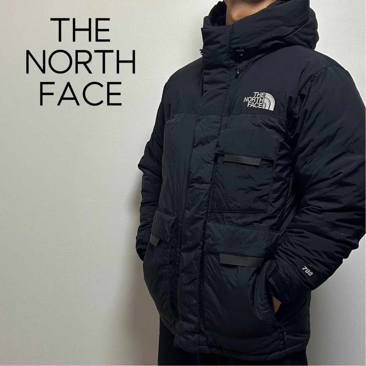 日本未入荷 海外限定モデル THE NORTH FACE ノースフェイス ダウン