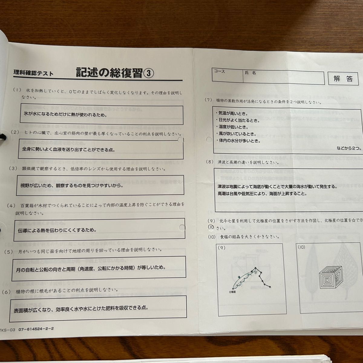 SAPIX6年理科 一年分セットSS特訓デイリーチェック ウィクリー