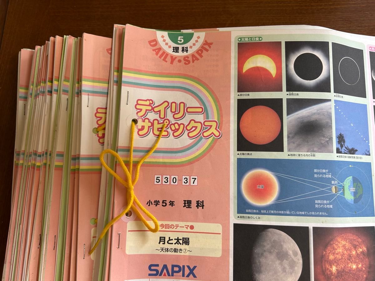SAPIX 5年 理科 一年分 フルセットデイリーステップ スプリングサマー
