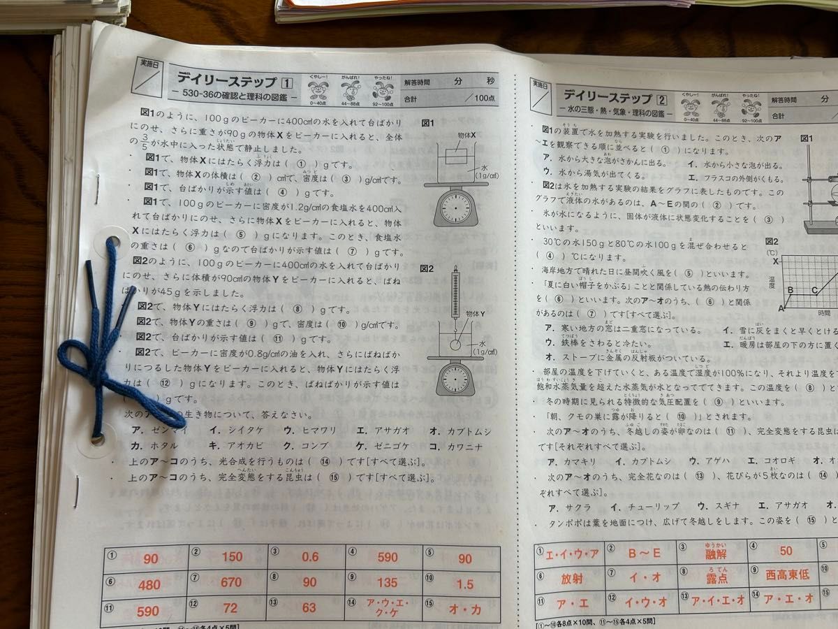 SAPIX 5年 理科 一年分 フルセットデイリーステップ スプリングサマー