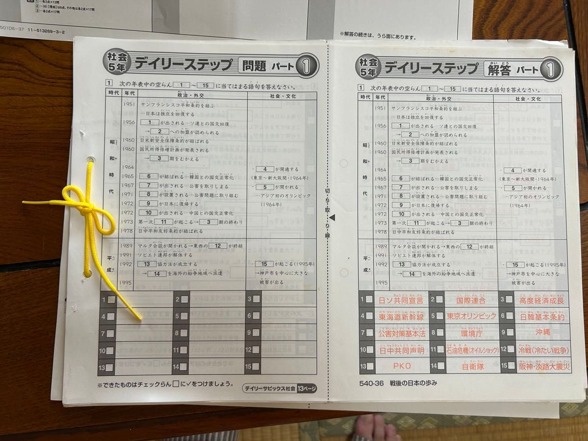 SAPIX 5年 社会 一年分 セットデイリーステップ デイリーチェック コア