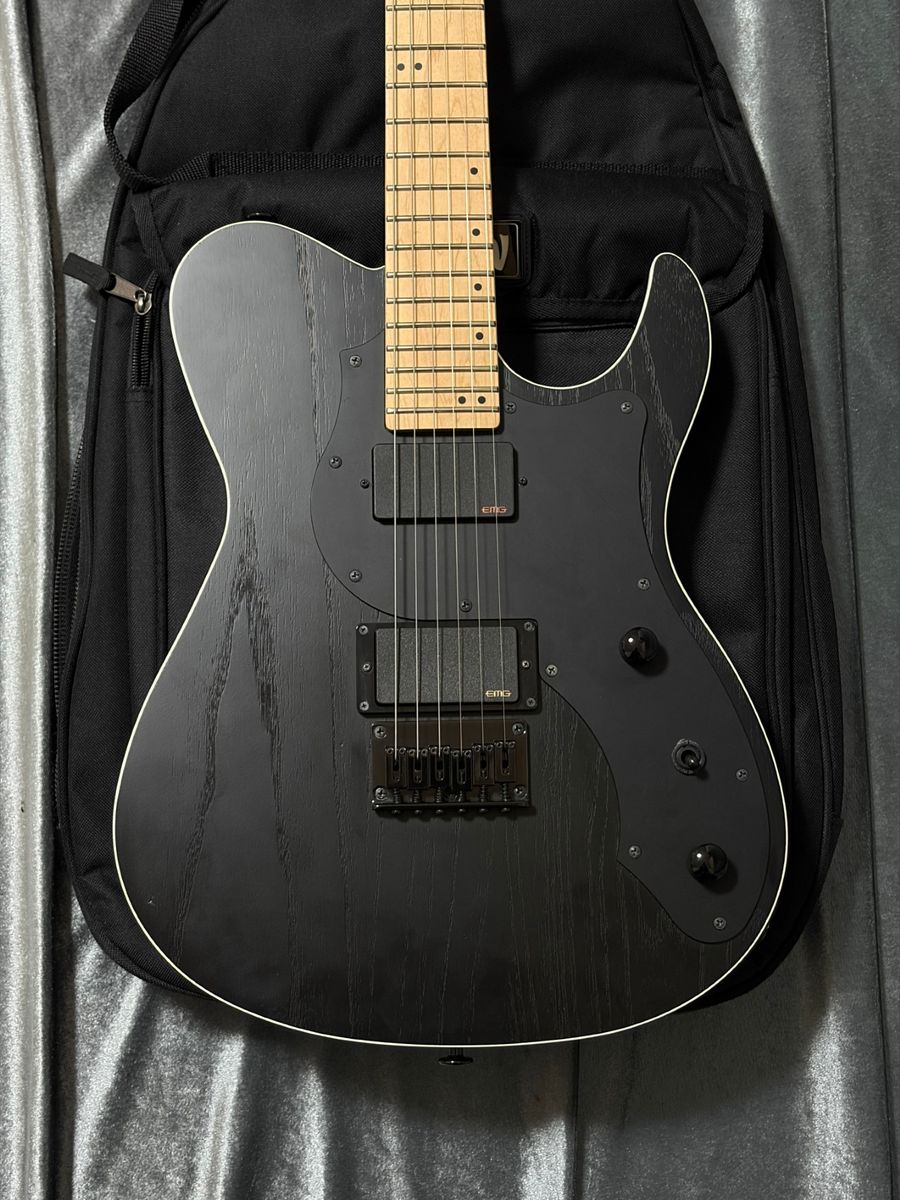 FUJIGEN(フジゲン) JIL-ASH-DE664-M EMGピックアップ搭載 2019年製 FGN