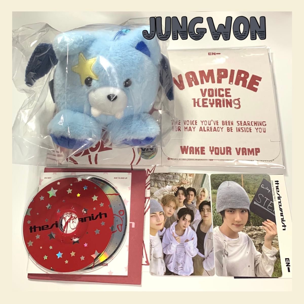 ENHYPEN【THE SIN VANISH】ボイスキーリングver ジョンウォン｜Yahoo