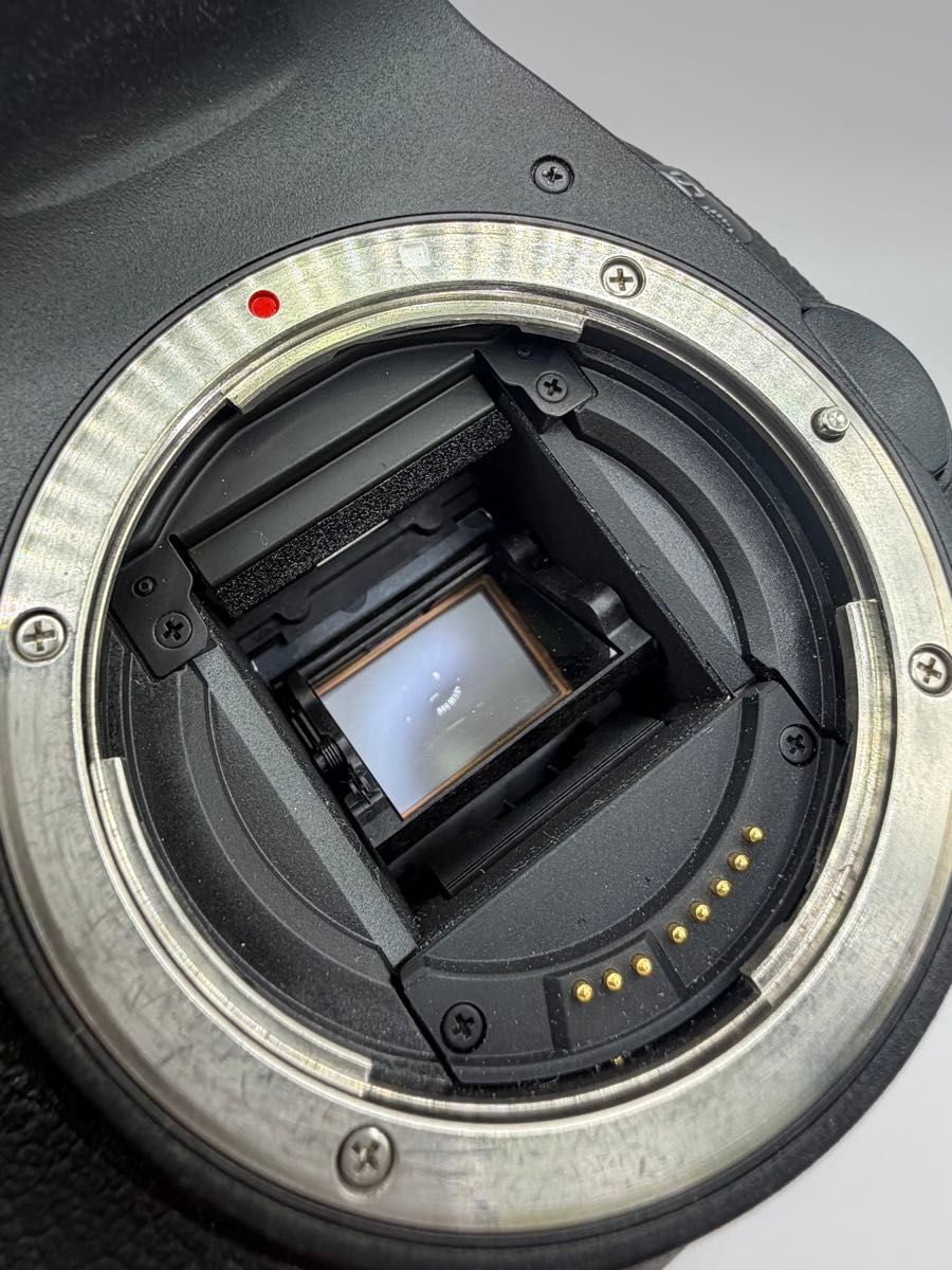 Canon EOS 7D ボディ 電源投入OK、シャッターOK Canon EOS 7D ボディ