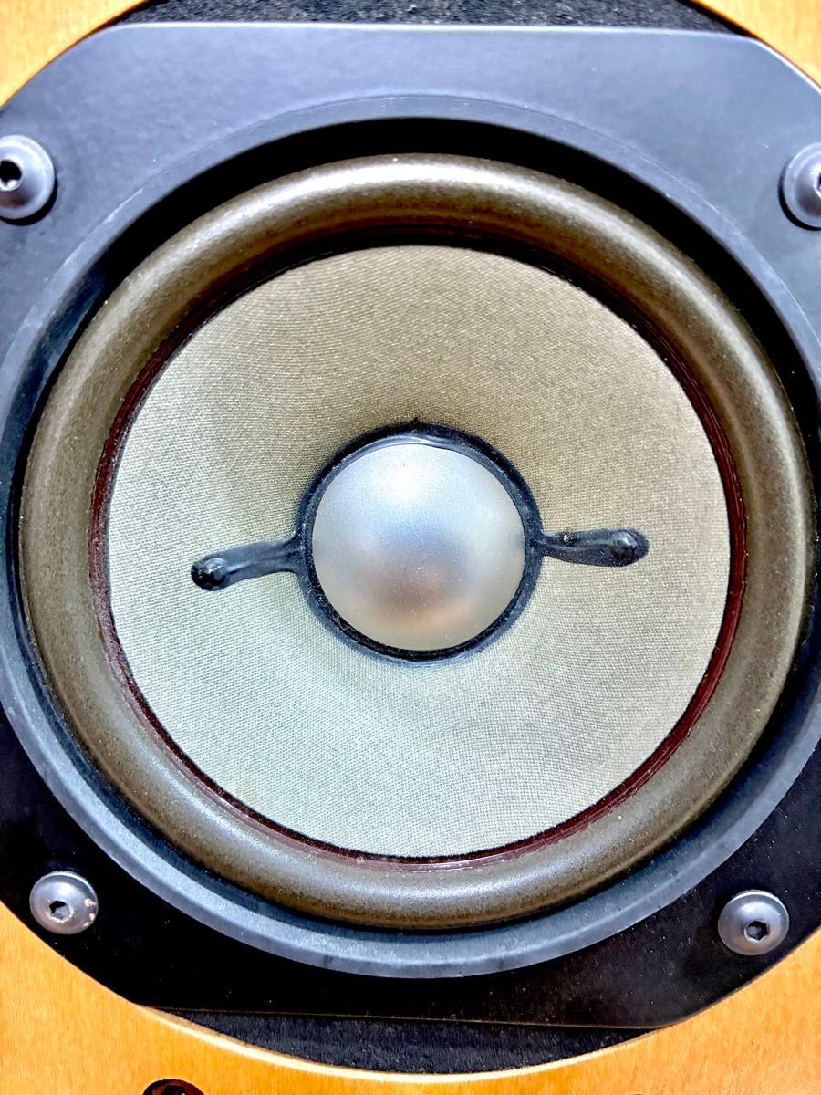 パイオニア pioneer PE-101A フルレンジスピーカーユニット ペア(2台