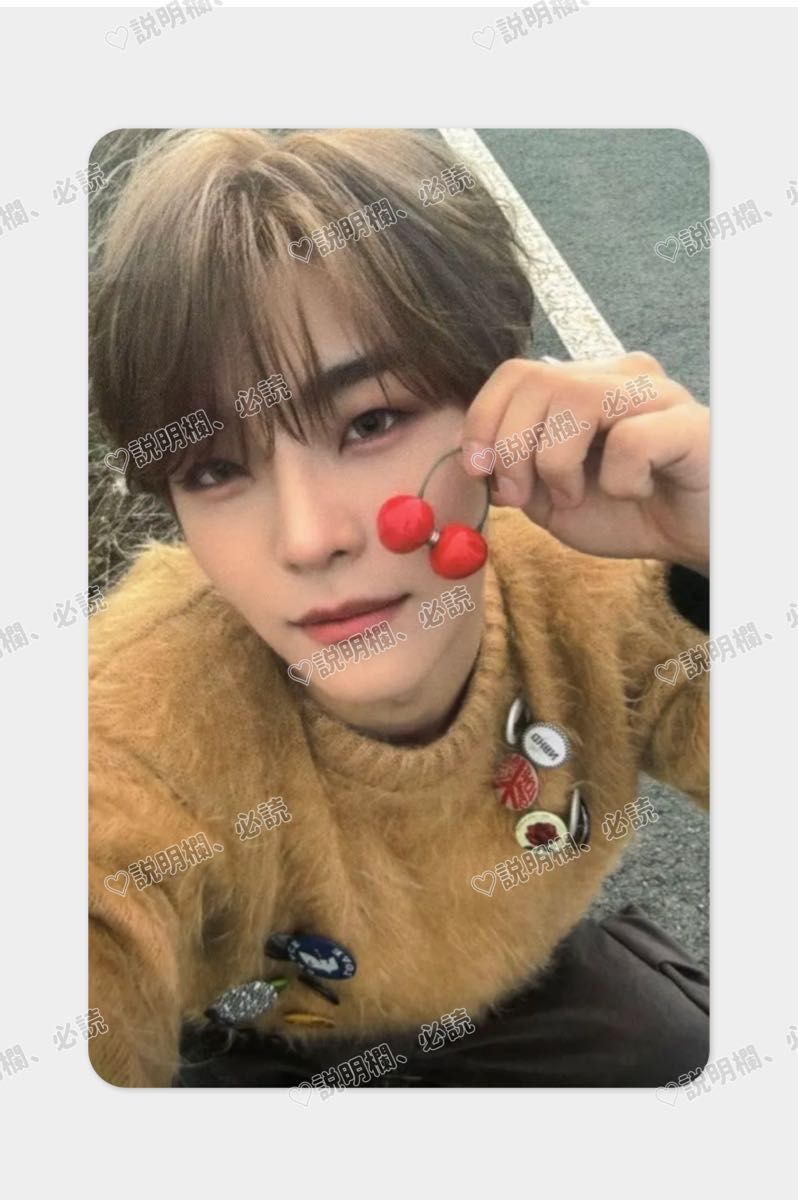 ALD1 シンロン 2週目 サノク トレカ 韓国 ALD1 シンロン 2週目 サノク