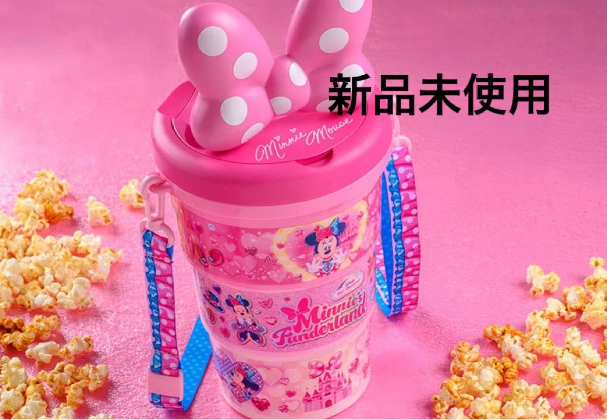 パルパルーザ ミニーのファンダーランド ポップコーンバケット