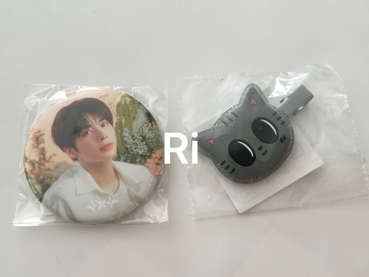 TXT カプセルトイ ダゴニャン ヘアクリップ テヒョン 缶バッジ｜Yahoo