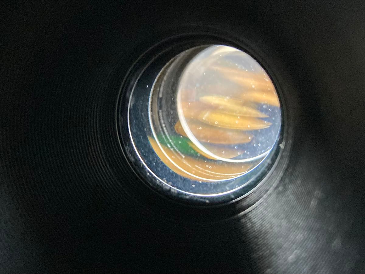 作例付き ELICAR V-HQ MACRO 55mm F2 8 管mpr｜Yahoo!フリマ（旧PayPay