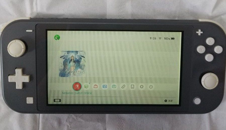 ジャンク】 Nintendo Switch Lite 本体 ニンテンドースイッチライト