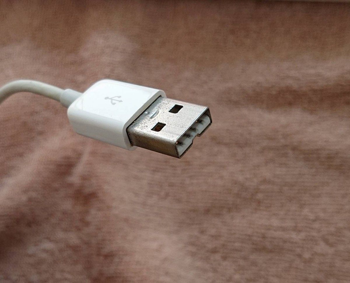 純正】Apple キーボード A1243 有線 テンキー付き USB接続 日本語配列