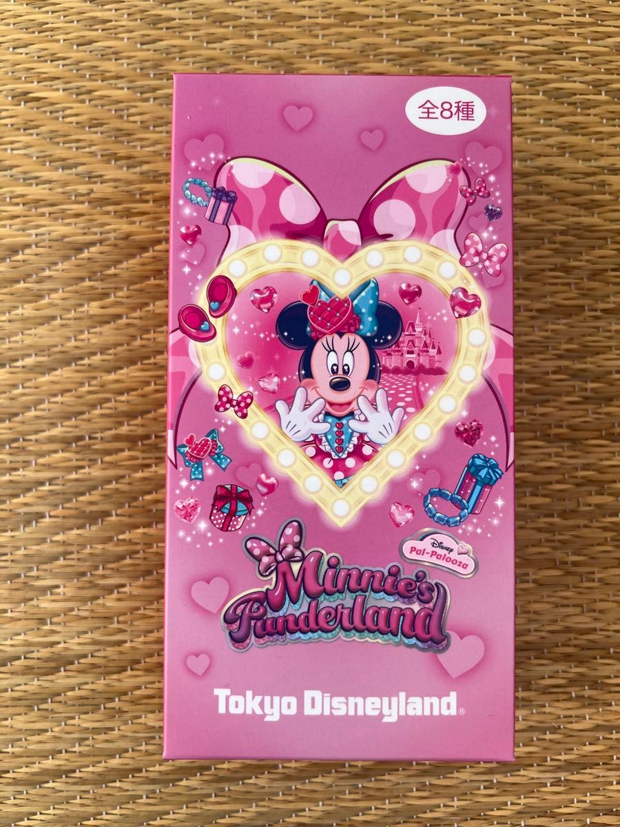 ディズニー パルパルーザ・ミニーのファンダーランド ワッペン