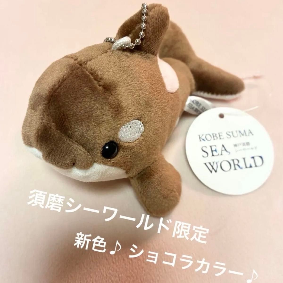 須磨シーワールド シャチ 新色 ショコラデュオカラー キーホルダー 計1