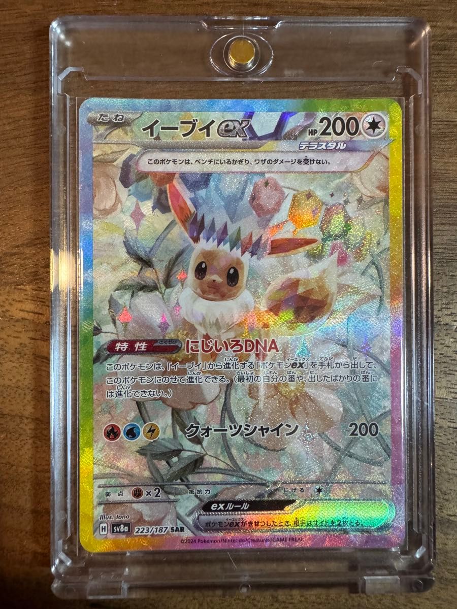 ブイズ ex SAR コンプ 10枚 テラスタルフェス イーブイ進化セット