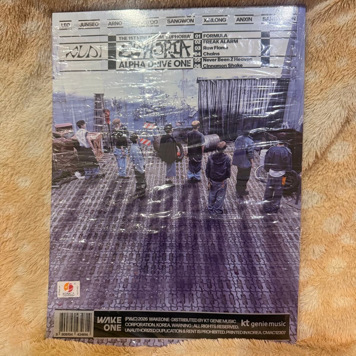 ALD1 FREAK ALARM アルバム euphoria 新品未使用 ポスター｜Yahoo