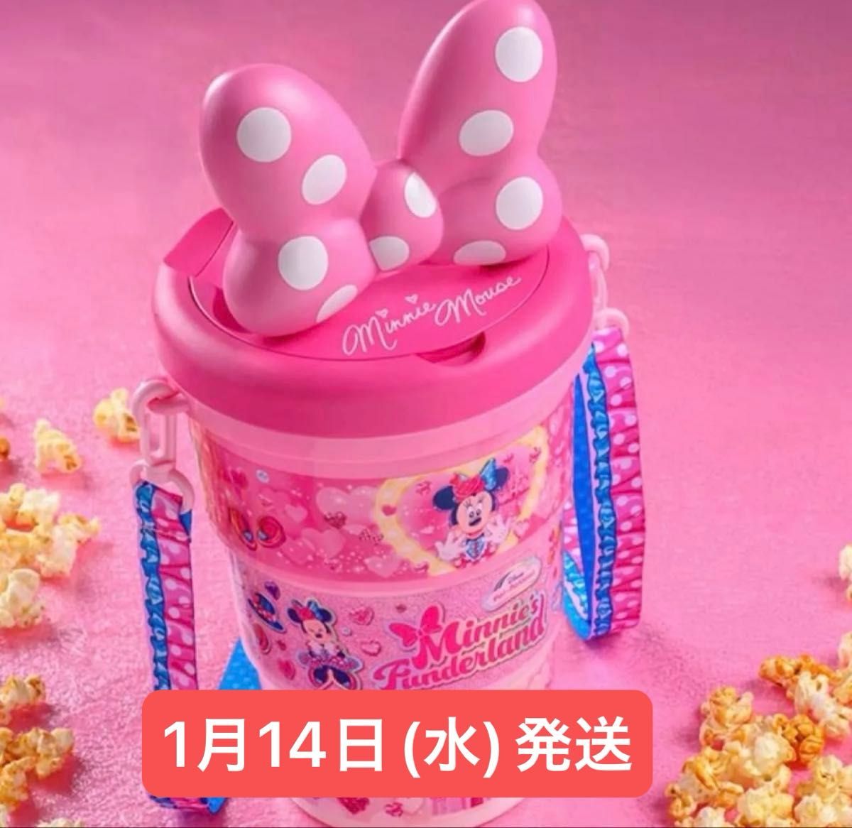 ディズニーランド ミニーのファンダーランド ポップコーンバケット