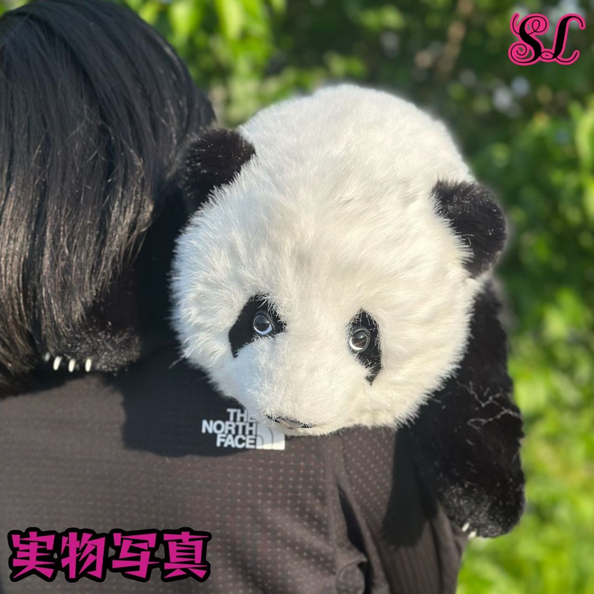 リアルで癒される！5ヶ月齢パンダ ぬいぐるみ登場 ファファ まるで本物