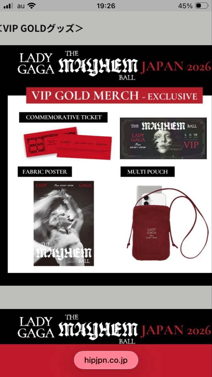 レディーガガ東京ドーム VIP GOLD特典限定グッズフルセット7点とリスト