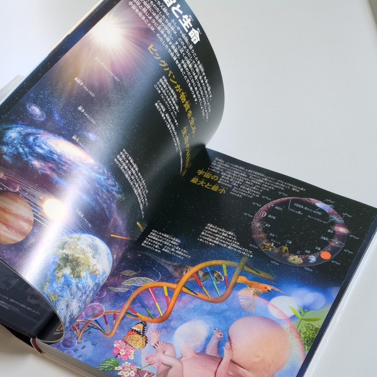 DVD付き】宇宙 （小学館の図鑑NEO 9） （新版） 池内了／監修 大内