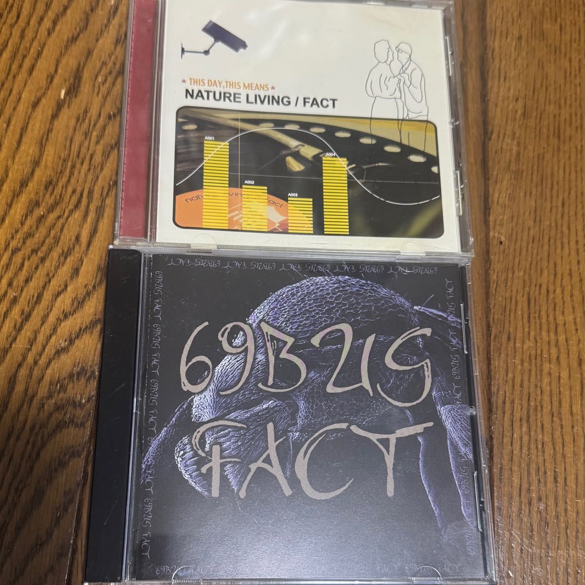 FACT 廃盤 NATURE LIVING 69BUG THIS DAY THIS MEANS スプリット CD
