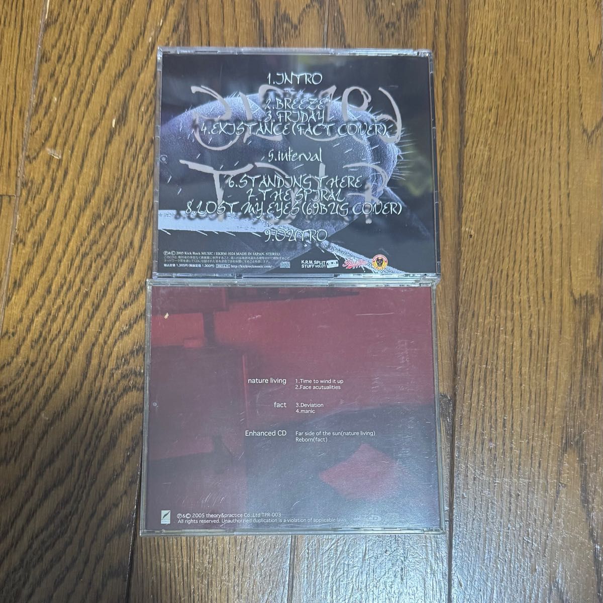 FACT 廃盤 NATURE LIVING 69BUG THIS DAY THIS MEANS スプリット CD