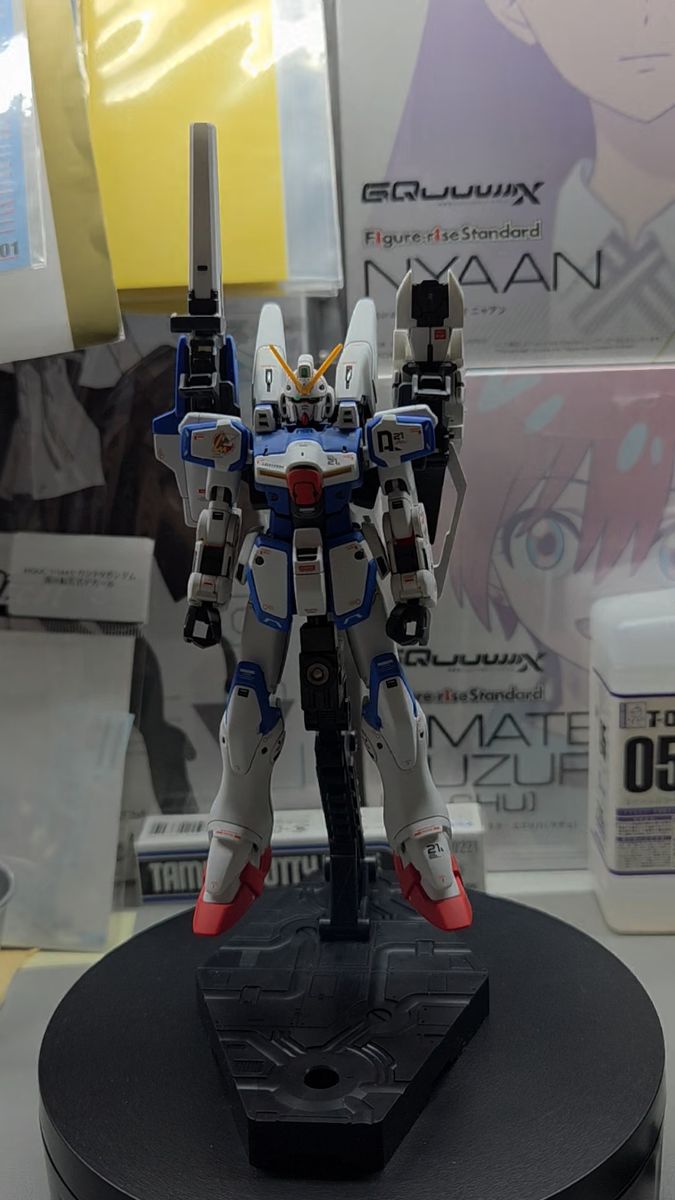 EG νガンダム 二次元彩色 二次元塗装 1/144 プラモデル 完成品