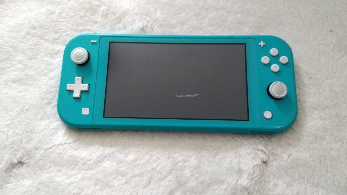 Nintendo Switch Lite ターコイズ （1部破損あり） Nintendo Switch