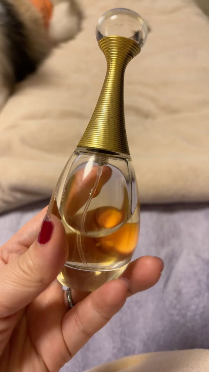 希少 廃盤品 ディオール ジャドール オーデテ パルフュメ 香水 50ml